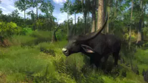 theHunter Classic