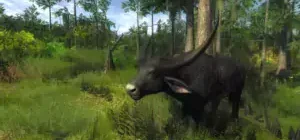 theHunter Classic